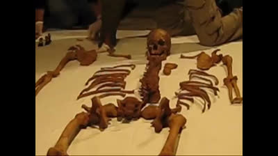 Exhumación de los restos mortales de Francisco Pizarro en la Catedral de Lima (Perú)