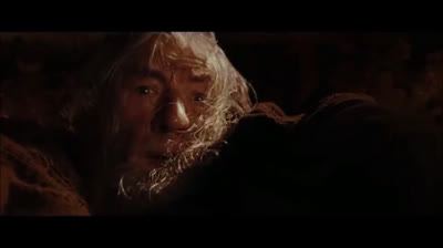 Run, you fools! - The Lord of the Rings (The Community of the Ring)