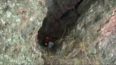 02. Los Aztecas. Capitulo II. La Fundacion de México-Tenochtitlan (Somos Nómadas TV)