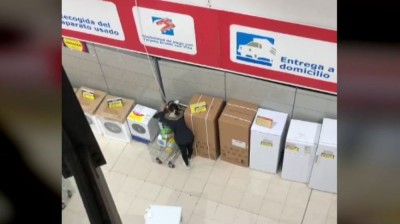 Robo de dos jamones y un televisor en un supermercado de Guadalajara