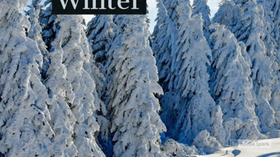 Madison love to travel