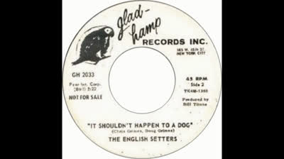 English Setters - It Shouldn't Happen To A Dog