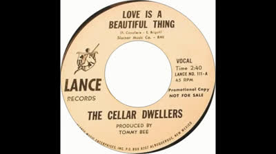 Cellar Dwellars (1967) - Love Is A Beautiful Thing