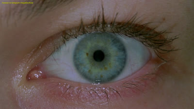 ✡Resident Evil - O Hóspede Maldito Dublado Logan✡