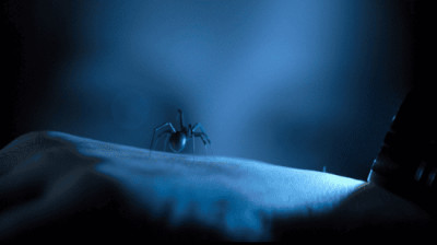 "Sting - Aranha Assassina" [2024] - Dublado