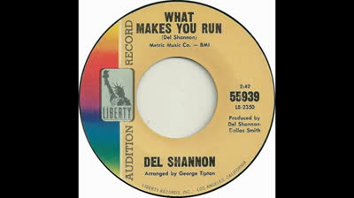 Del Shannon (1966) - What Makes You Run