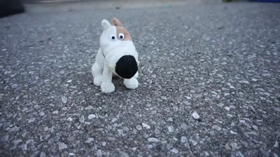 IN LOVING MEMORY OF DOG BOY