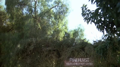 ✡Sexta-Feira 13 - Parte 5- Um Novo Começo Dublado Logan✡