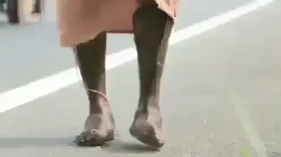 Story about humanity